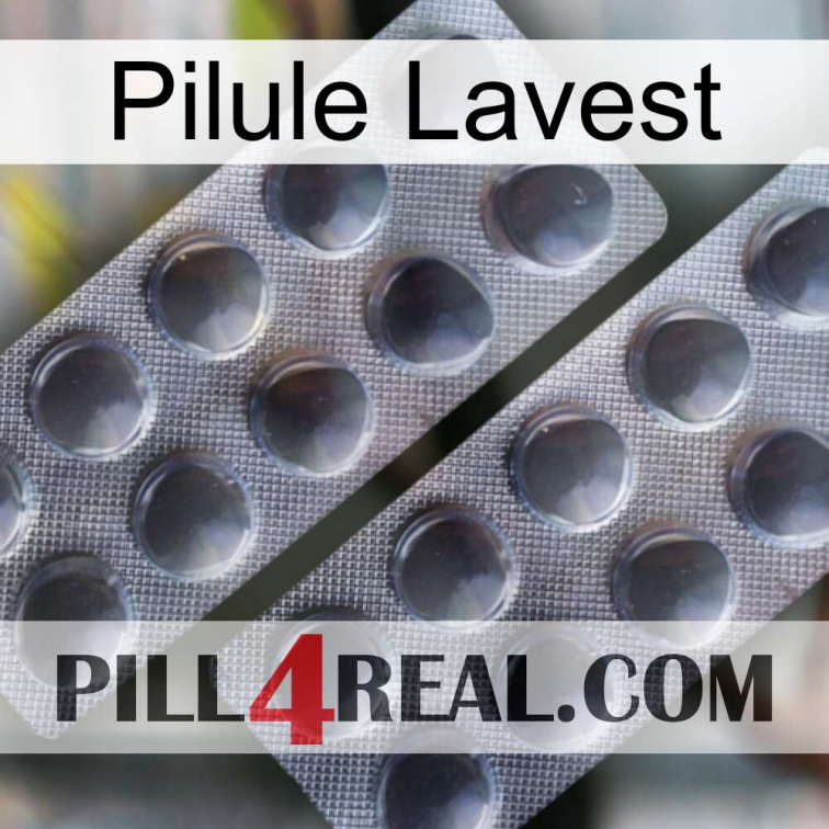 Lavest Pill 31